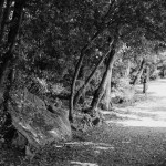 Cliquez sur la vignette pour obtenir un agrandissement.