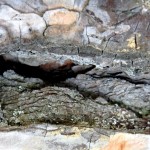 Cliquez sur la vignette pour obtenir un agrandissement.