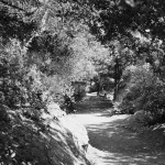 Cliquez sur la vignette pour obtenir un agrandissement.