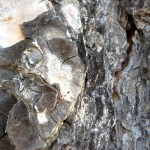 Cliquez sur la vignette pour obtenir un agrandissement.