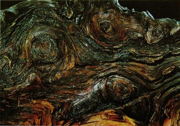 Une synchromie d'Oscar Forel.