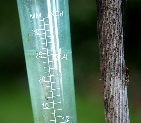 Enregistrement de notre pluviomètre à l'Isola Maggiore pour les orages de la soirée du mardi 13 mai 2014.