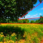 Analyse par l'image de la composition de la photo précédente 