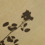 Cliquez sur la vignette pour obtenir un agrandissement.