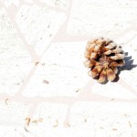 Cliquez sur la vignette pour obtenir un agrandissement.