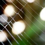 Cliquez sur la vignette pour obtenir un agrandissement.