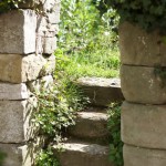 Cliquez sur cette vignette pour obtenir un agrandissement.