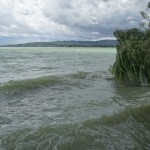 Cliquez sur la miniature pour obtenir un agrandissement.