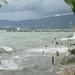 Cliquez sur la miniature pour obtenir un agrandissement.