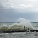 Cliquez sur la miniature pour obtenir un agrandissement.