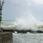 Cliquez sur la miniature pour obtenir un agrandissement.