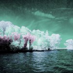 Cliquez sur la miniature pour obtenir un agrandissement.