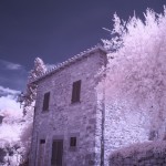 Cliquez sur la miniature pour obtenir un agrandissement.