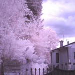 Cliquez sur la miniature pour obtenir un agrandissement.