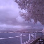 Cliquez sur la miniature pour obtenir un agrandissement.