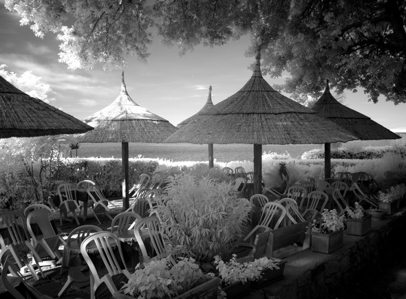 Le jardin de "Il Molo" situé à l'arrivée des traghetti à l'Isola Maggiore.