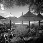 Cliquez sur cette vignette pour obtenir un agrandissement.