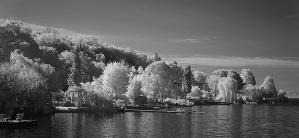 Partie sud de la rive ouest de l'Isola Maggiore.