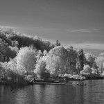 Cliquez sur cette vignette pour obtenir un agrandissement.