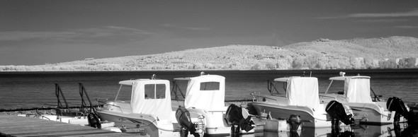 La "flottille" de l'Isola Maggiore.