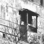 Cliquez sur cette vignette pour obtenir un agrandissement. Cliquez sur cette vignette pour obtenir un agrandissement.