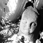 Cliquez sur cette vignette pour obtenir un agrandissement.