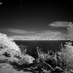 Cliquez sur cette vignette pour obtenir un agrandissement.