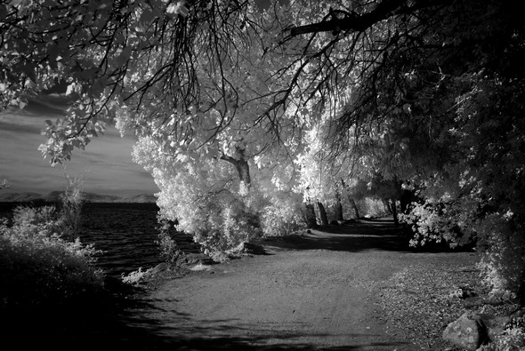 Le sentier du lungolago se métamorphose en une belle allée forestière.