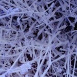 Cliquez sur cette vignette pour obtenir un agrandissement.