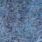 Cliquez sur cette vignette pour obtenir un agrandissement.