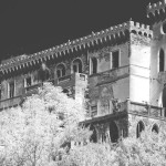 Cliquez sur cette vignette pour obtenir un agrandissement.