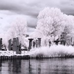 Cliquez sur cette vignette pour obtenir un agrandissement.