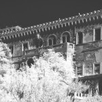 Cliquez sur cette vignette pour obtenir un agrandissement. 