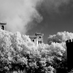 Cliquez sur cette vignette pour obtenir un agrandissement. 