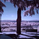 Cliquez sur cette vignette pour obtenir un agrandissement.