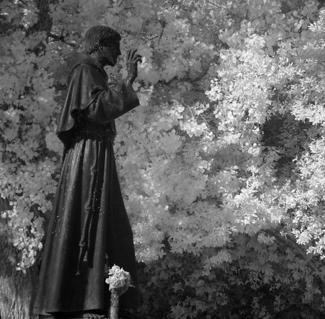 A l'Isola Maggiore, tout commence, et tout finit avec saint François d'Assise !