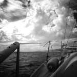 Cliquez sur cette vignette pour obtenir un agrandissement.