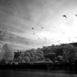 Cliquez sur cette vignette pour obtenir un agrandissement.