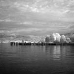 Cliquez sur cette vignette pour obtenir un agrandissement.