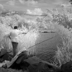 Cliquez sur cette vignette pour obtenir un agrandissement.