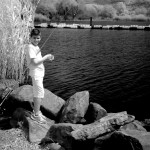 Cliquez sur cette vignette pour obtenir un agrandissement.