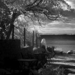 Cliquez sur cette vignette pour obtenir un agrandissement.