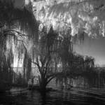 Cliquez sur cette vignette pour obtenir un agrandissement.