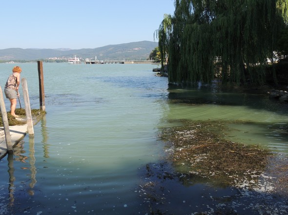 Dans notre darse privée, faute de drague provinciale, mon épouse Fabienne lutte manuellement !