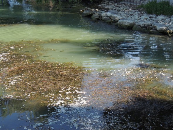 En plein milieu de notre darse - AOÛT 2013.