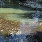 Cliquez sur cette vignette pour obtenir un agrandissement.