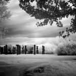 Clicca sulla foto per ingrandire.