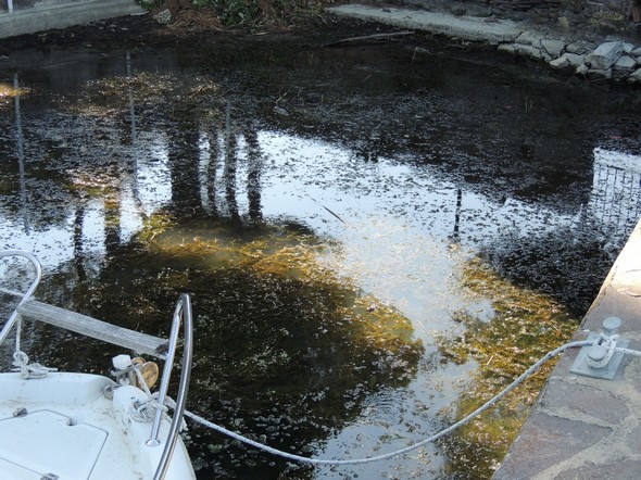 Au fond de notre darse, avec un jeu de reflets - AOÛT 2013..