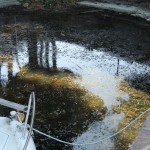 Cliquez sur cette vignette pour obtenir un agrandissement.