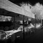 Cliquez sur cette vignette pour obtenir un agrandissement.